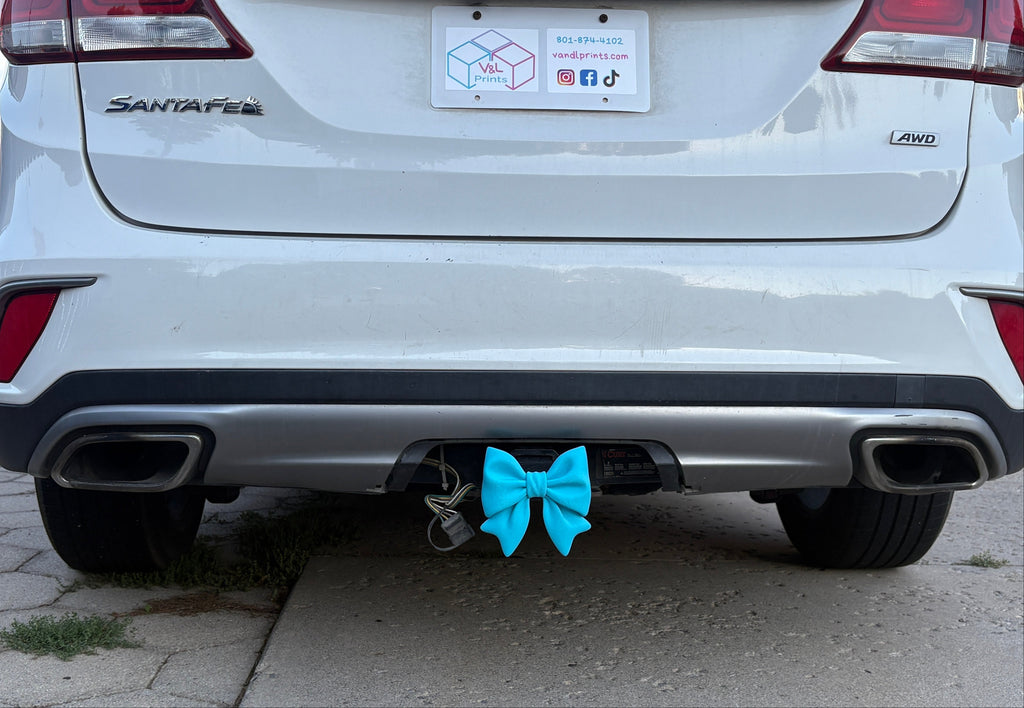 A Sky Blue Hitch insert on a Car