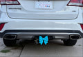 A Sky Blue Hitch insert on a Car